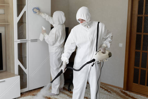 Best Commercial Mold Remediation in Sherman, TX